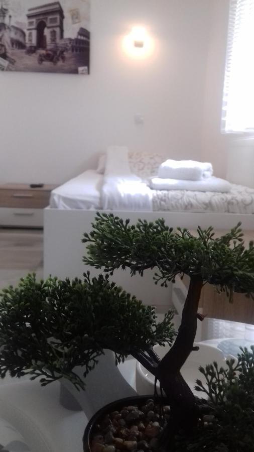 Mesecev Konak Bed & Breakfast Ni Eksteriør bilde