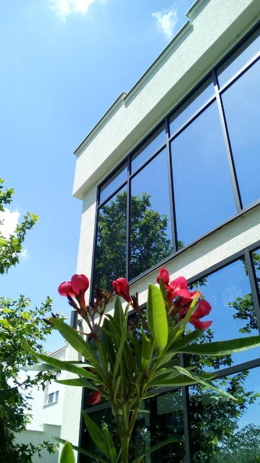 Mesecev Konak Bed & Breakfast Ni Eksteriør bilde