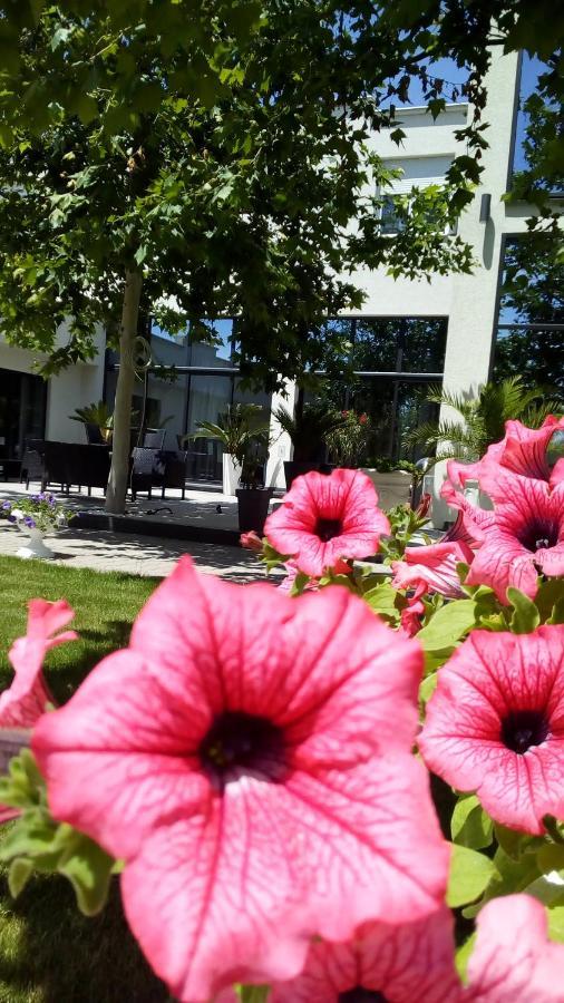 Mesecev Konak Bed & Breakfast Ni Eksteriør bilde