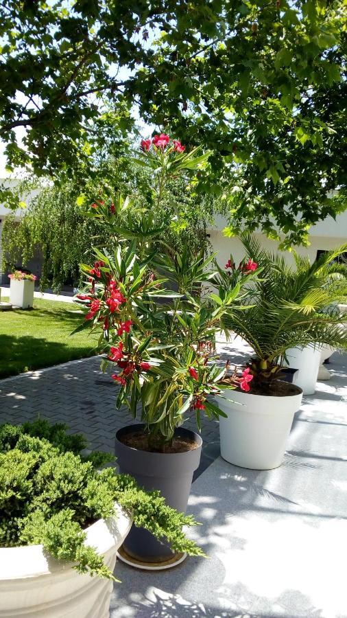 Mesecev Konak Bed & Breakfast Ni Eksteriør bilde
